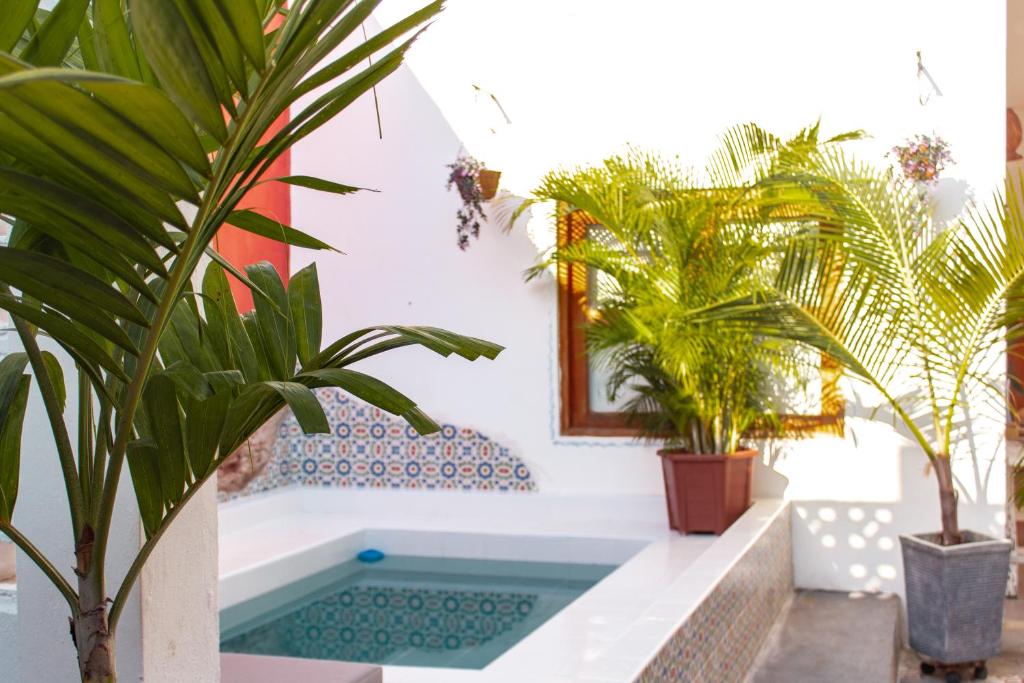 una piscina en una casa con plantas en Casa Moraira en Cartagena de Indias