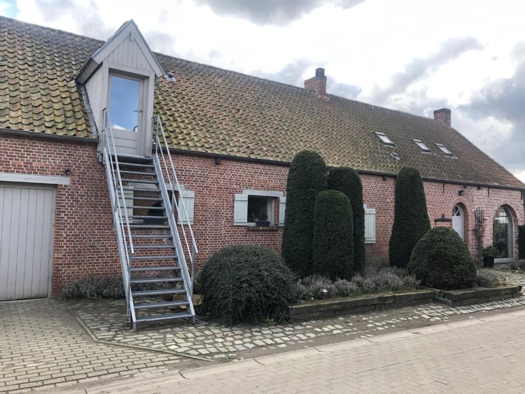 a house with a ladder in front of it at slapen bij alpacas in Beerse