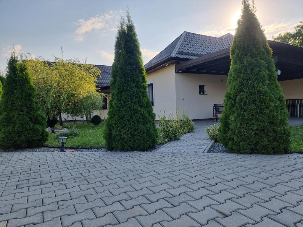 a group of trees in front of a house at Salt Orchid Apartments in Turda