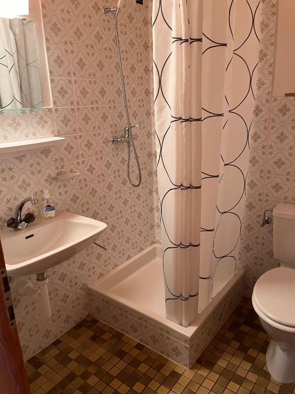 a bathroom with a shower and a toilet and a sink at Gaby in Grächen