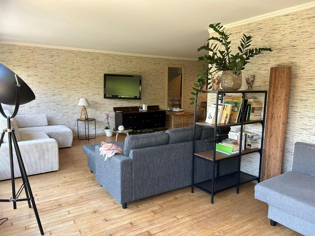 ein Wohnzimmer mit einem Sofa und einem TV in der Unterkunft Apartment in the heart of Crans Montana in Crans-Montana