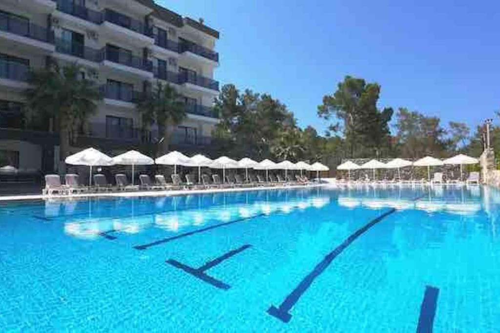 a large swimming pool with chairs and umbrellas at New apartment with pool near the sea in Akbük