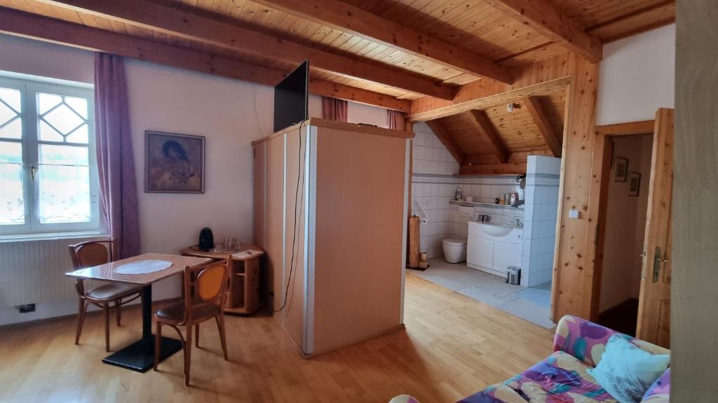 Kuchyň nebo kuchyňský kout v ubytování Villa Theresa