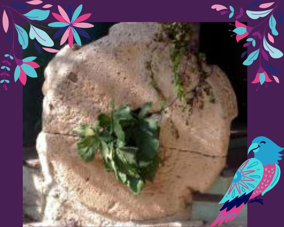 a piece of bread with a bird on top of it at Ex Hacienda Hostal in Guanajuato