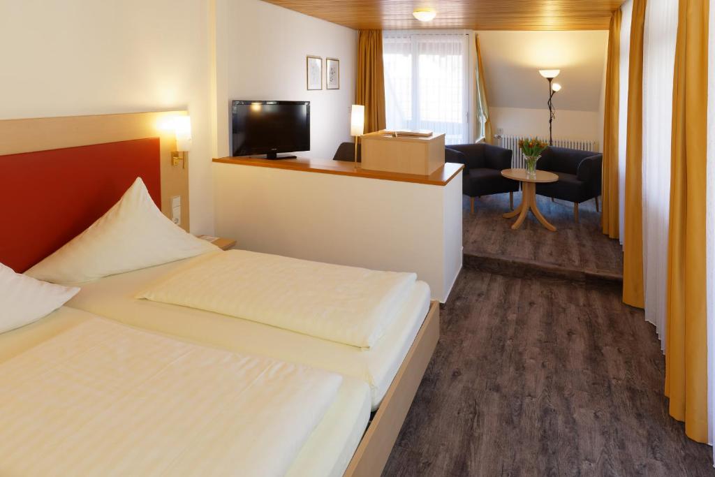 TV a/nebo společenská místnost v ubytování Hotel Hirschen