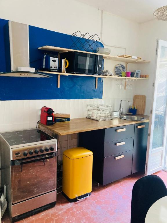 a kitchen with a counter with a stove and a sink at Pied à terre Méditerranéen ! in Marseille