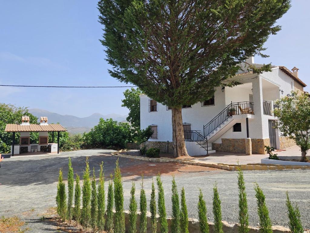 Una gran casa blanca con un árbol delante. en Cortijo Los Portillos, en Arbuniel