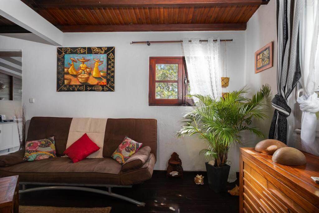 Posezení v ubytování Appartement Alizé Vue Imprenable Sur La mer
