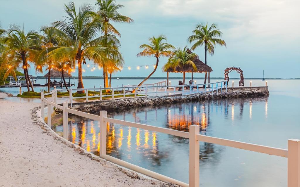 a beach with palm trees and a white fence at Largo Resort in Key Largo
