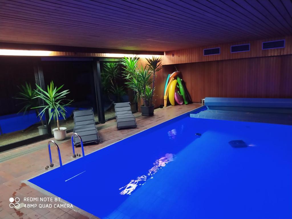 a swimming pool with blue water in a room with plants at Park Villa Ferienwohnung mit Pool und 3 Schlafzimmer in Uelzen