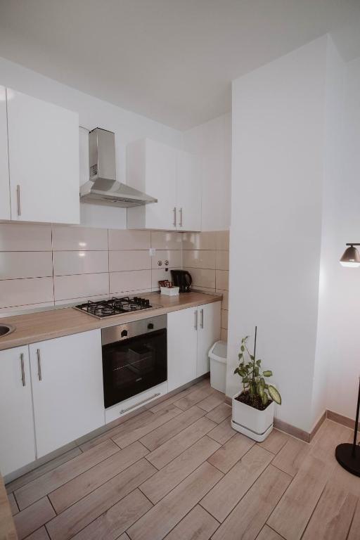 Apartments Peric - Županja - 8