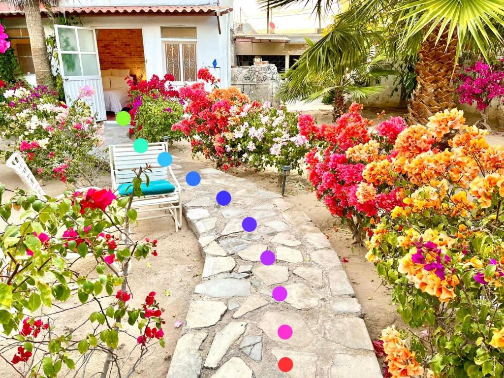 Un jardín fuera de Habitación #2 a dos cuadras del malecón