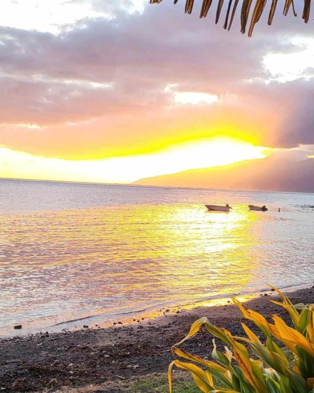 Le Village de Vairao, Vairao - photo 5 - Tahiti, Polynésie