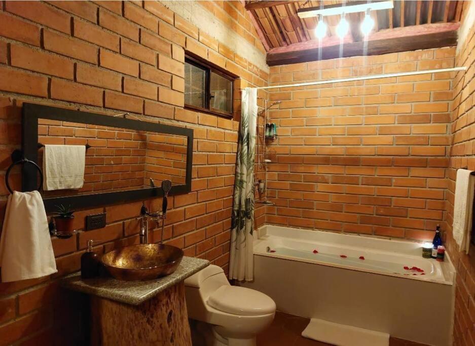 Bathroom sa Casa del Rio in the Andes