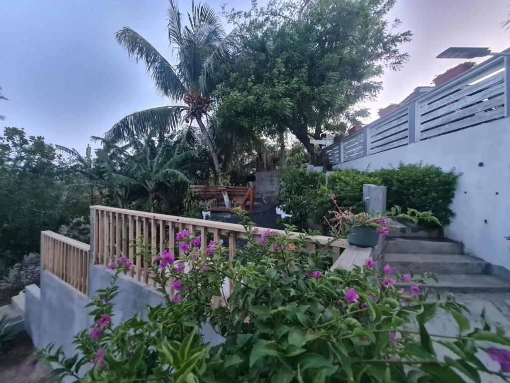 un giardino con fiori rosa e una recinzione di Casa Colibri a Roatán