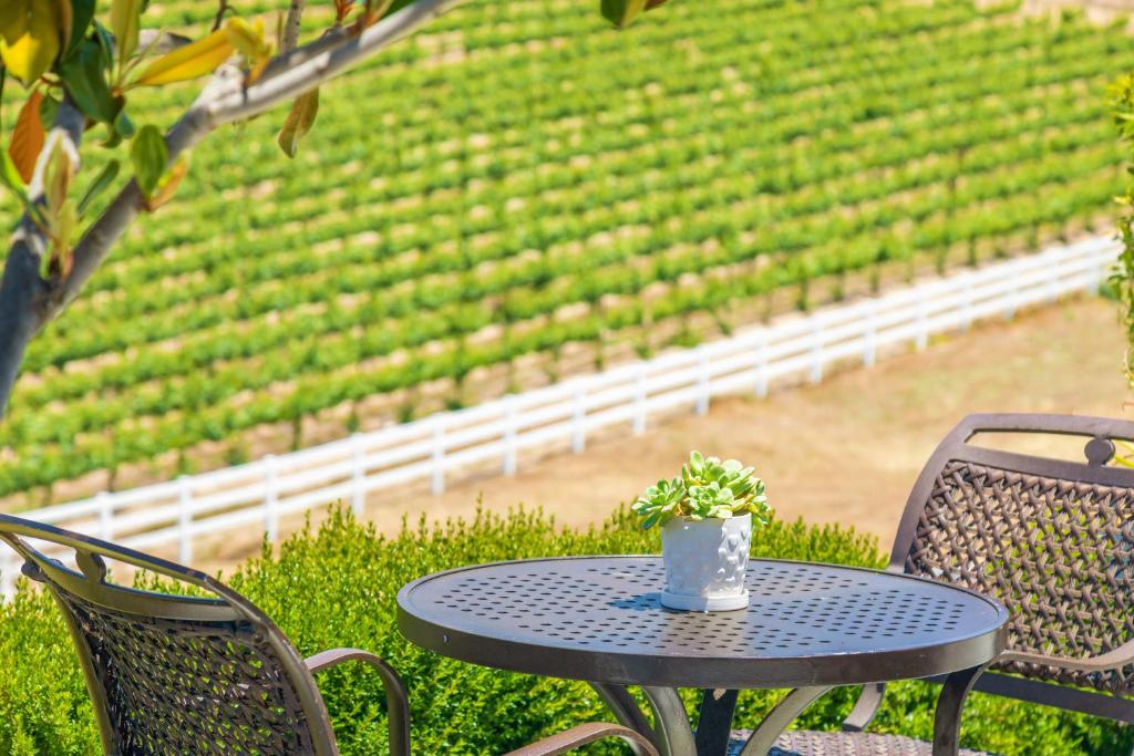Zahrada ubytování Gaia Inn & Spa- Adult Only- Temecula Wine Country