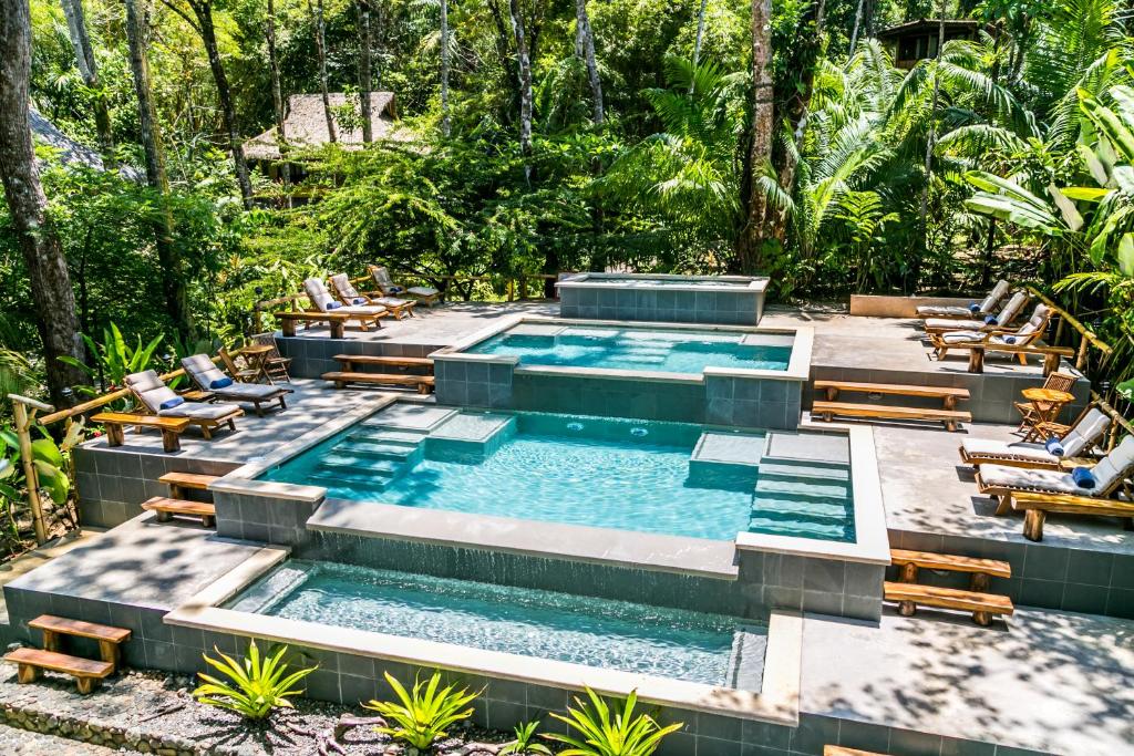 uma piscina de beiral infinito com espreguiçadeiras e um resort em Copa De Arbol Beach & Rainforest Resort em Drake