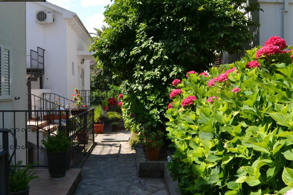 Apartments Luka - 19