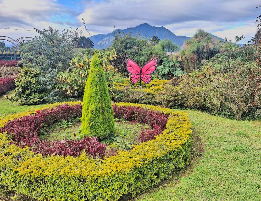 Zahrada ubytování Paraiso Orquideario