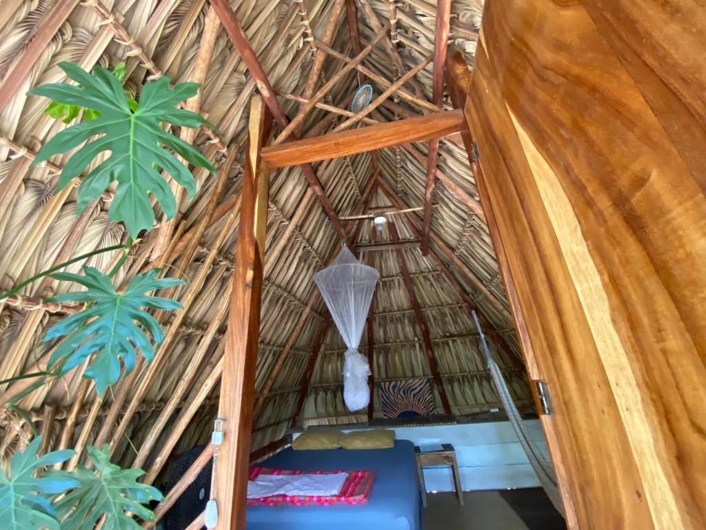 un toit de chaume d'une chambre avec des plantes dans l'établissement Calypso cabanas, à El Paredón Buena Vista