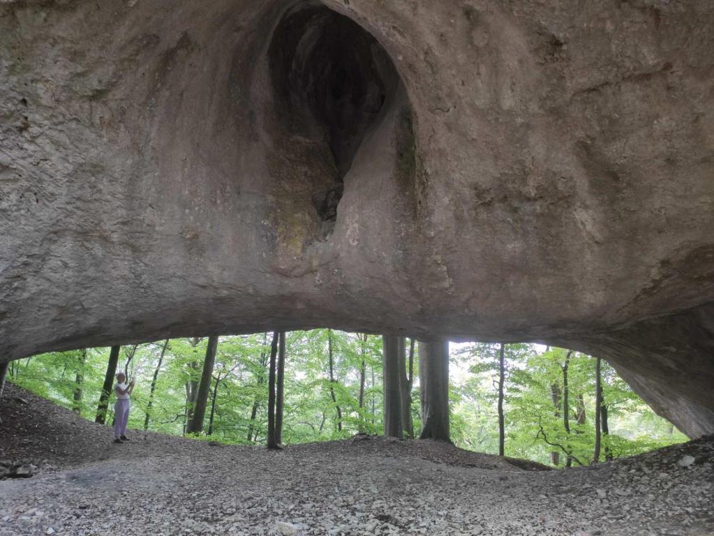 Příroda nedaleko apartmánu