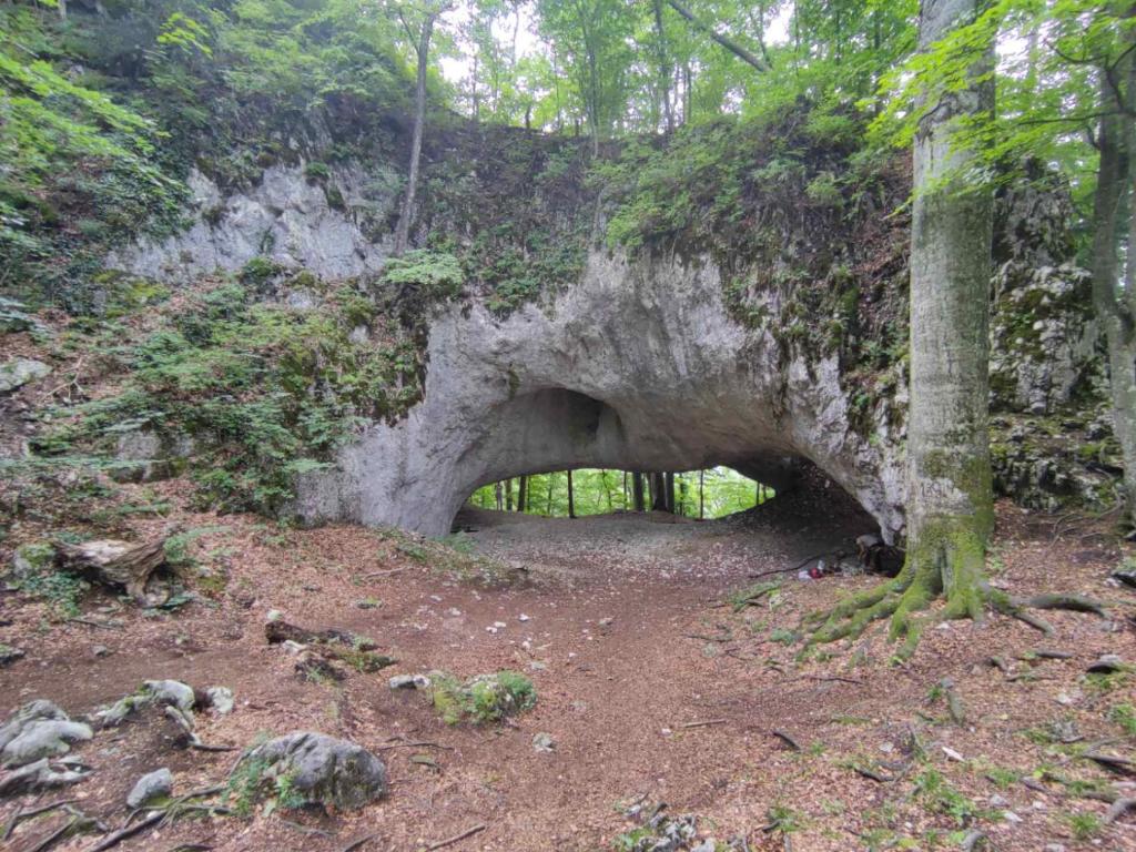 Příroda nedaleko apartmánu