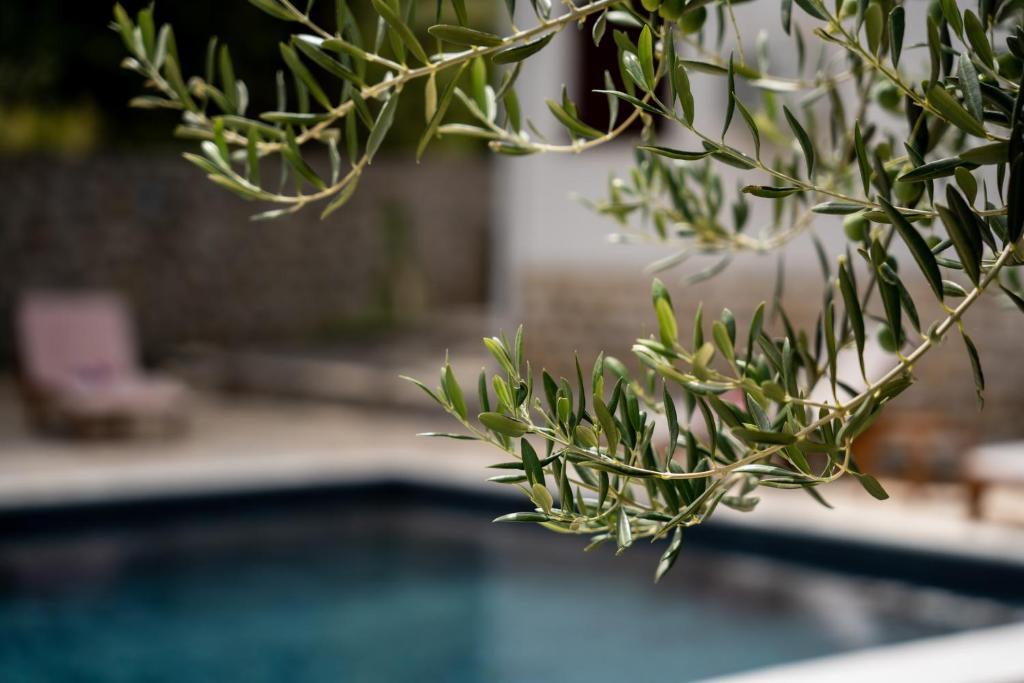 Bazén v ubytování Villa Pag Dubrava Relax with Pool nebo v jeho okolí