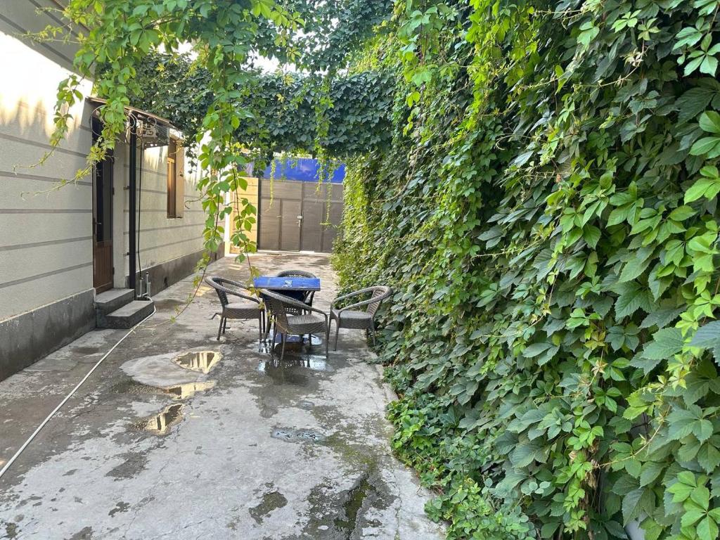 een patio met een tafel en stoelen naast een muur met klimop bij REAL TASHKENT Inn in Tasjkent