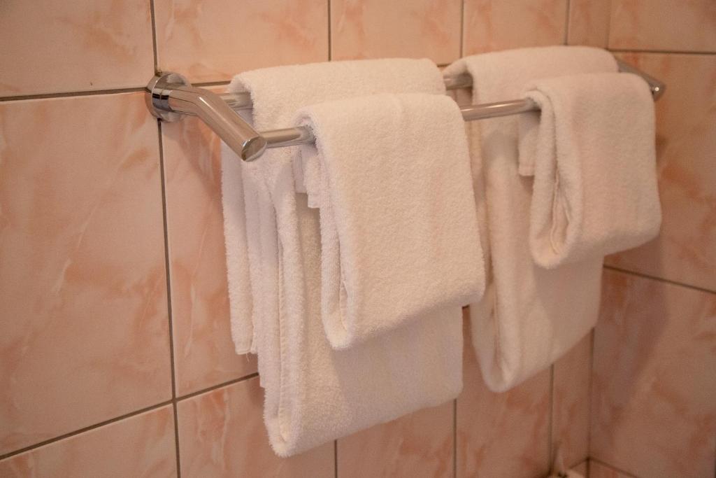 Fotografie z fotogalerie ubytování Dinaburg SPA Hotel v destinaci Daugavpils