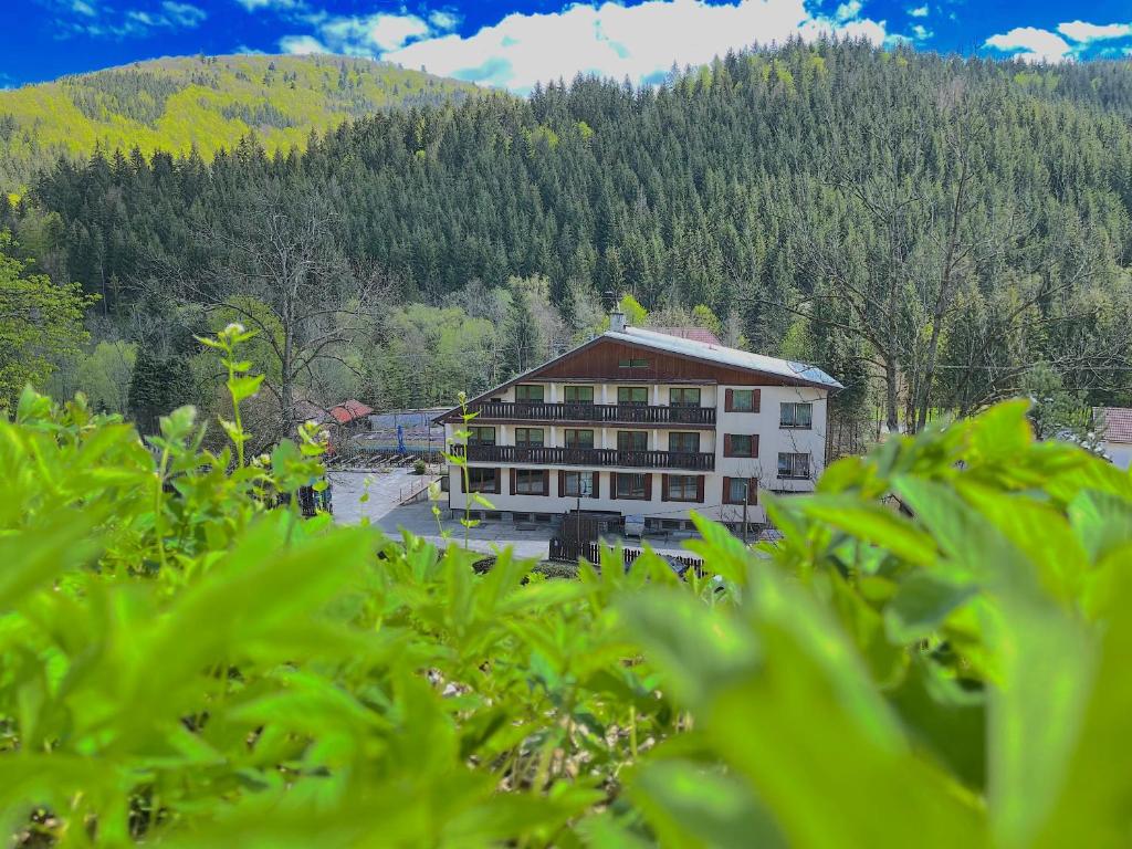 Příroda nedaleko hotelu