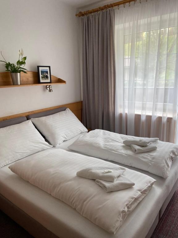 Postel nebo postele na pokoji v ubytování Hotel U STUDÁNKY