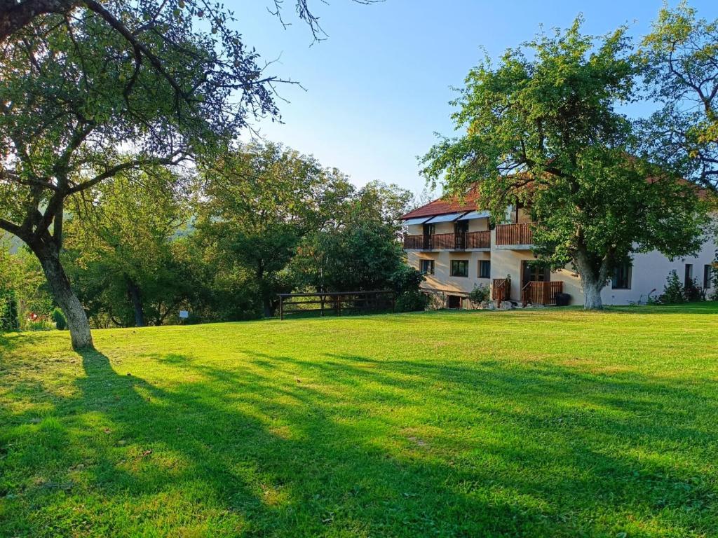 une grande pelouse avec une maison en arrière-plan dans l'établissement Pensiunea Agroturistica Ica, à Valea Drăganului