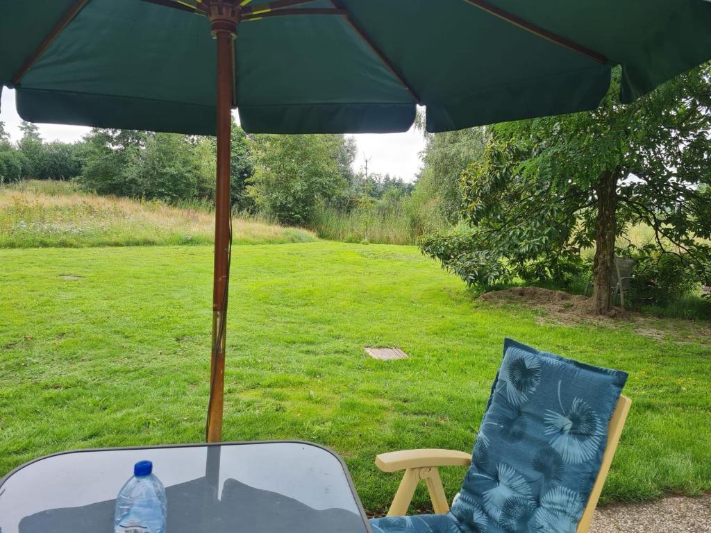 un tavolo e una sedia sotto un ombrellone verde di Landelijke gelegen Lodge a Driebergen