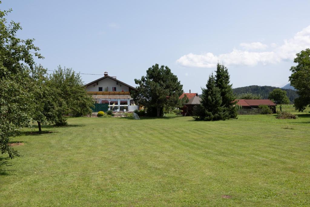 Příroda nedaleko apartmánu