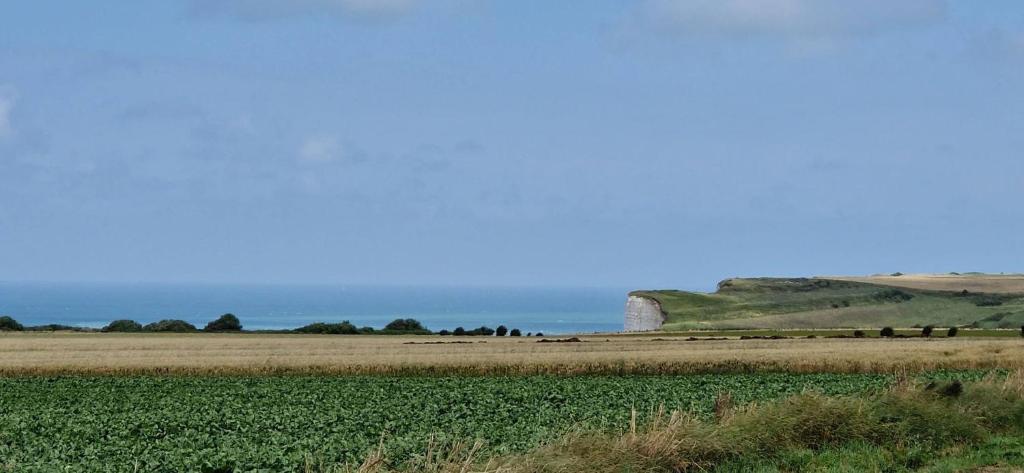 a field of crops with the ocean in the background at Maison 4 A 6 Personnes in Belleville-sur-Mer