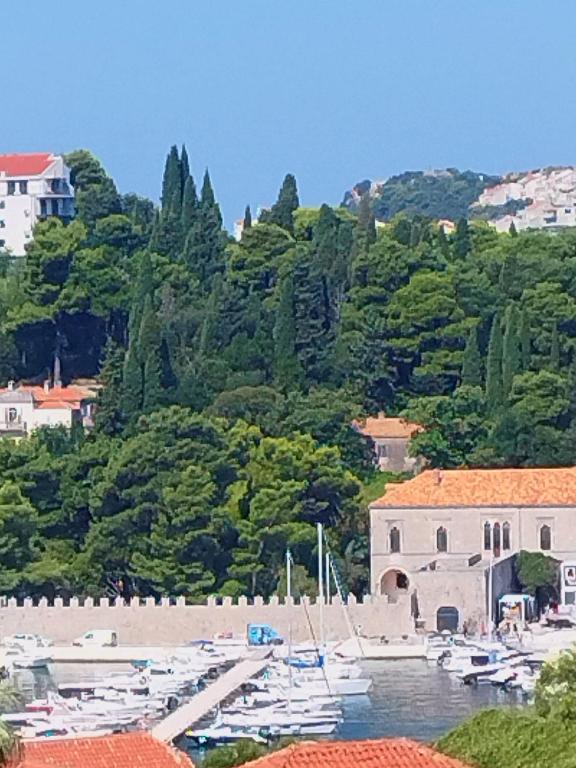 Ivana apartman free private parking