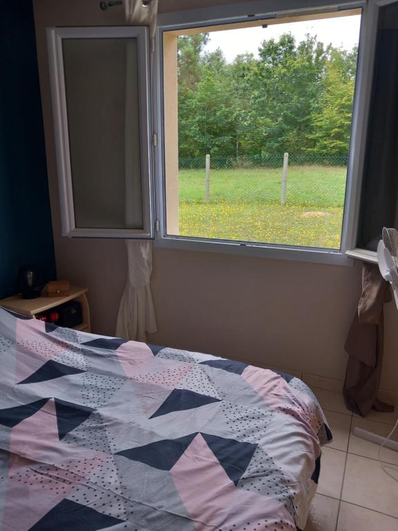 ein Schlafzimmer mit einer Decke auf einem Bett und einem Fenster in der Unterkunft Chez nous lo et val in Montpon-Ménestérol