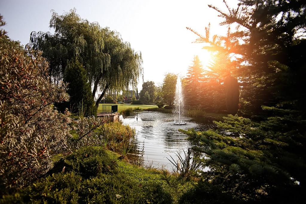 einen Teich mit einem Brunnen inmitten eines Parks in der Unterkunft Vision - Apartment - Bad Klosterlausnitz in Bad Klosterlausnitz