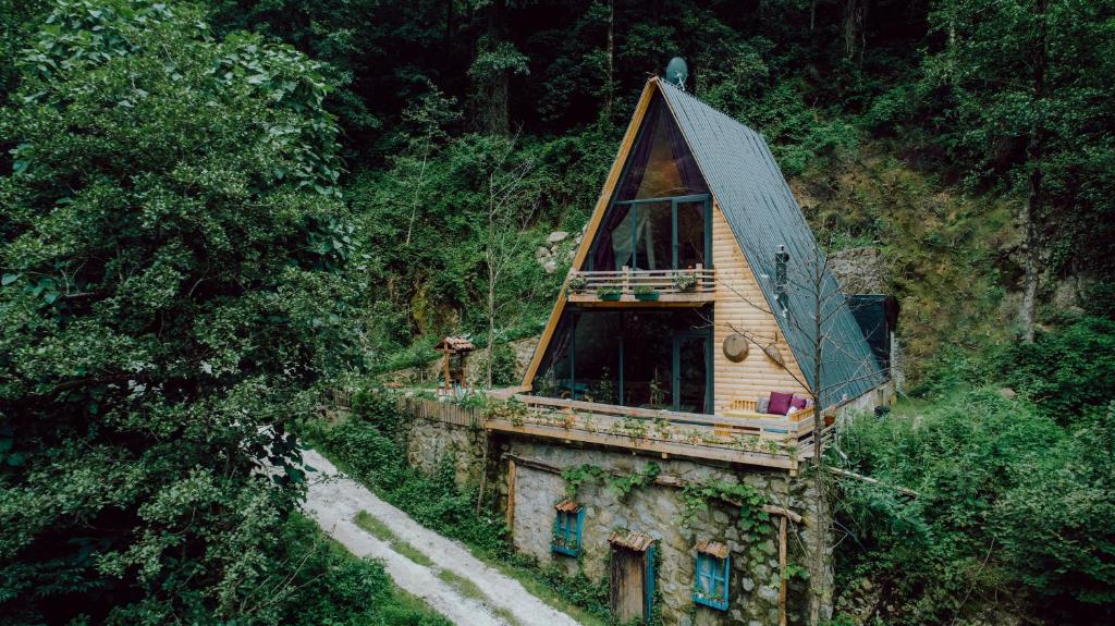 a cabin in the middle of a forest at Zayna bungalov in Çamlıhemşin