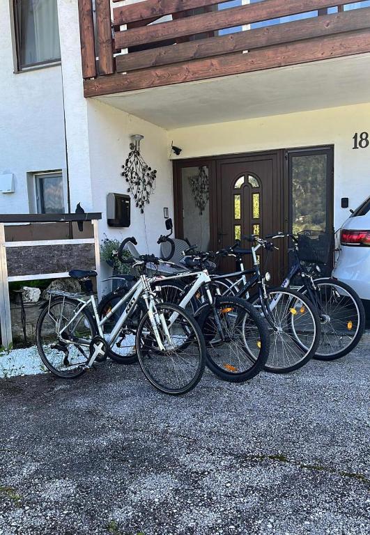 Jízda na kole v ubytování FRESH Apartments nebo okolí