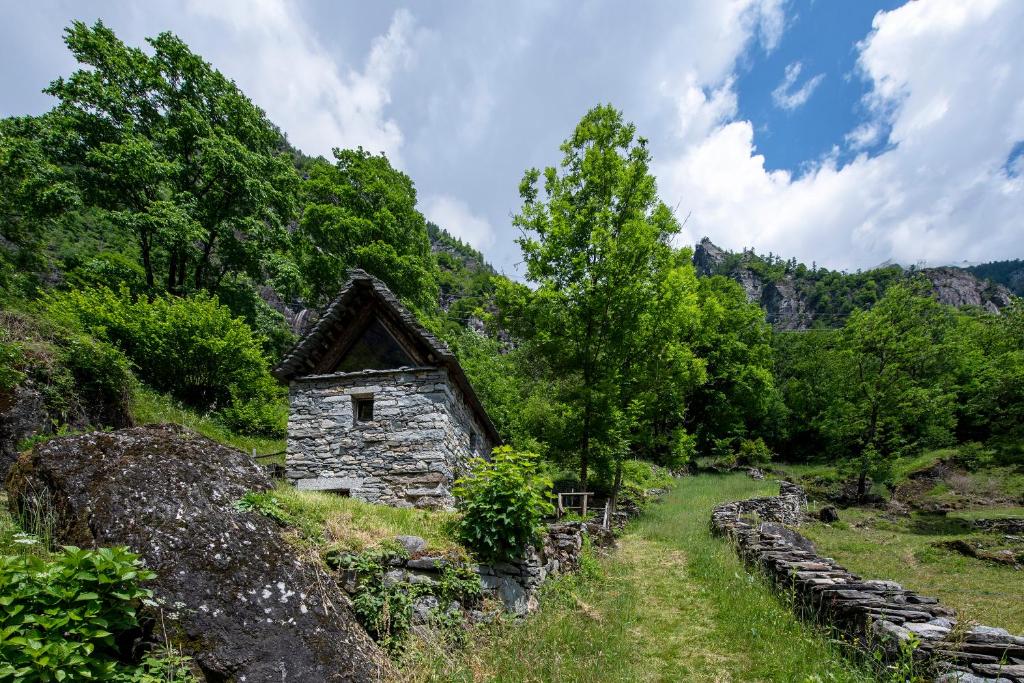 an old stone house in a field with trees at Rustico Savinera - Happy Rentals in San Carlo