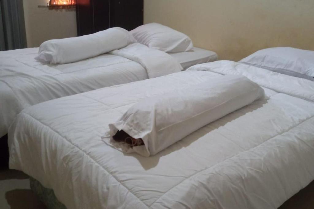 dos camas blancas con un perro sobre ellas en OYO 92924 Kalista Guest House Syariah, en Pekanbaru