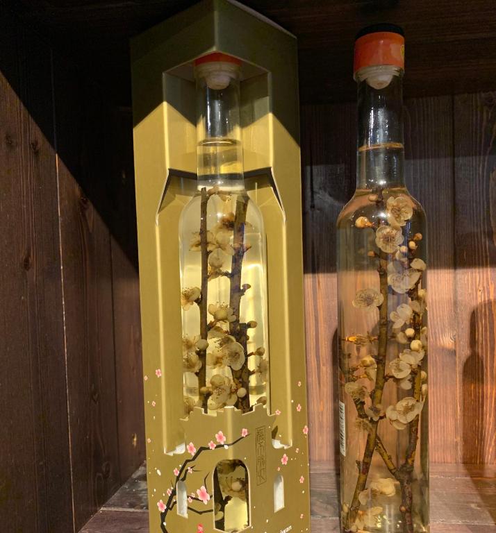 Fotografie z fotogalerie ubytování 奕青民宿-梅酒 梅精 法國麵包plum winery guesthouse v destinaci Shuili