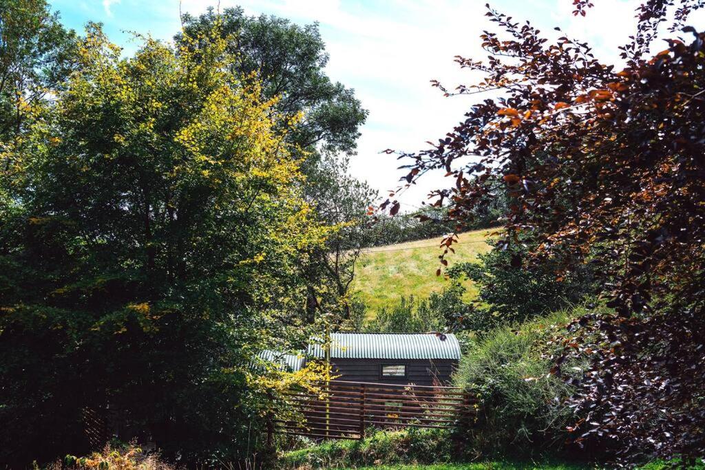 um edifício no meio de um campo com árvores em Fleur de Grog - Shepherds Hut em Bodmin