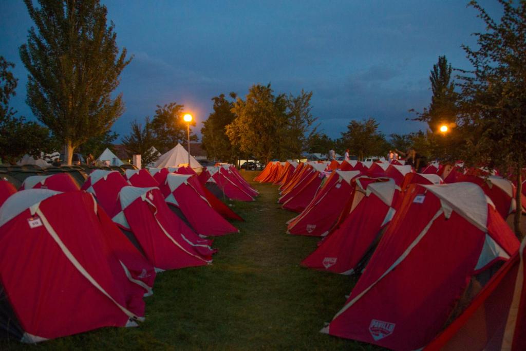Ein Haufen roter Stühle auf dem Gras in der Unterkunft Stoke Travel's Amsterdam Camping in Amsterdam