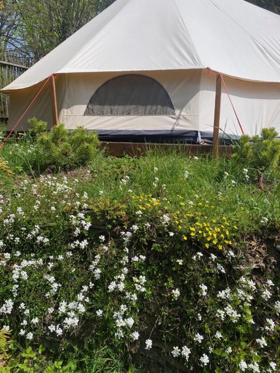 Zahrada ubytování Hvězdný glamping