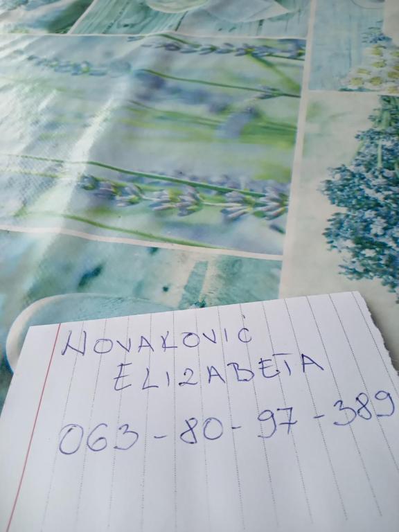 Fotografija u galeriji objekta Planinska Kuća Dušan u gradu Mitrovac