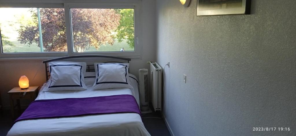 1 dormitorio con 2 camas y ventana en BELLEVUE, en Quetigny