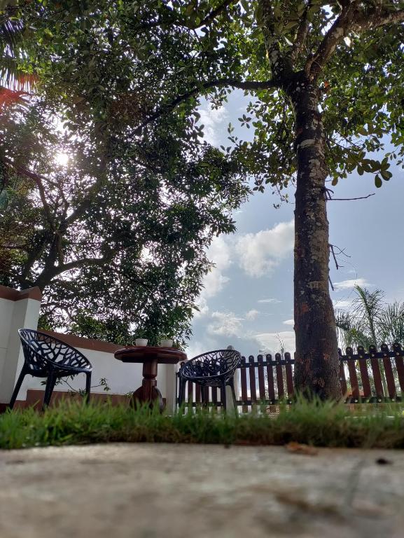 two benches and a table next to a tree at The Cana's Coorg in Ammatti