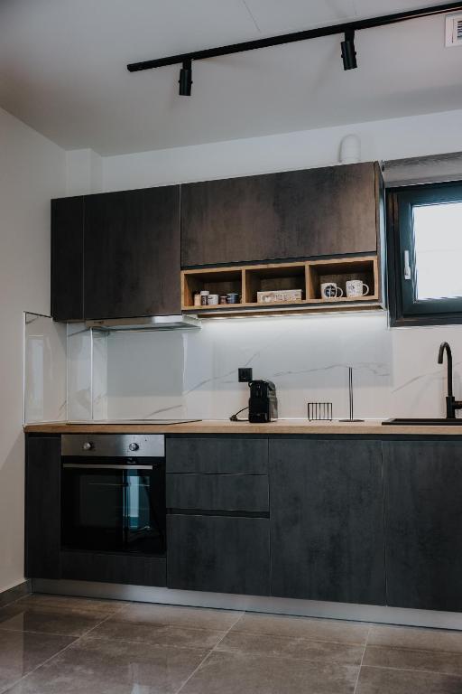 Kuchyň nebo kuchyňský kout v ubytování Pearl Apartel